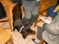 DSC00579