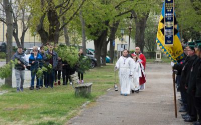 Palmsonntag in Marchegg