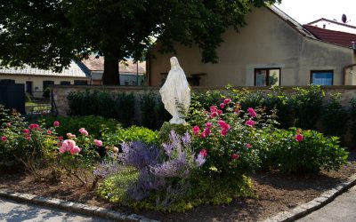 Maria Himmelfahrt in Markthof
